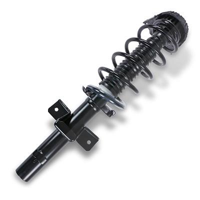 Gh Federbein komplett hinten [Hersteller-Nr. GH-352569C01] für Ford Image
