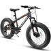 Arnahaishe 20 Inch Fat Tire Bike Adult/Youth Full Shimano 7 Speed Mountain Bike Dual Disc Brake High-Carbon Steel Frame Front Suspension Mountain Trail Bike Urban Commuter City Bicycle Grey