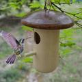 Pengzhipp Hanging Decor Wooden Hummingbird House Hummingbird Houses For Outside Nesting Bird Houses Natural Wood Hummingbirds Colorful Creative Home Decor