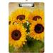 Wellsay Sunflower Close Up Vintage Clipboards for Kids Student Women Men Letter Size Plastic Low Profile Clip 9 x 12.5 in Silver Clip