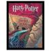 Harry Potter And The Chamber Of Secrets Book Cover Print