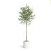 KORIMEFA Artificial Olive Trees 7FT Tall Fake Olive Trees for Indoor Faux Olive Silk Tree Large Olive Plants with White Planter for Home Decor and Housewarming Gift