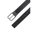 Reversible belt