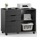 Mobile Lateral File Cabinet & Printer Stand with 3 Drawers and 2 Open Shelves