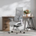 Inbox Zero Ergonomic Office Chair w/ Independent Backrest in Gray | Wayfair 04C973BDE7644C708DCA9A610EB9CC33