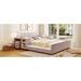 Latitude Run® Grounded Bed Upholstered/Velvet, Leather in Pink | 29 H x 68 W x 80 D in | Wayfair D915895C1E514245903AF3FA7ABC226A