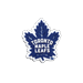 Jibbitz Nhl® Toronto Maple Leafs® Shoes