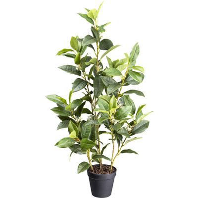 Künstliche Zimmerpflanze CREATIV GREEN "Osmanthus", grün, H:65cm, Kunstpflanzen, mit detailgetreuem Blattwerk Image