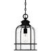 Bowles 1-Light Earth Black Mini Pendant Light