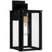 Robbins 1-Light Matte Black Outdoor Wall Lantern