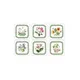 Portmeiron Pimpernel Exotic Botanic Garden Coasters Set 6