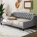 Modern Luxe Furniture Twin Daybed Upholstered/Velvet, Wood in Gray | 33.78 H x 45.58 W x 80.73 D in | Wayfair WD300275AAE