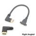 DisplayPort DP1.2V 4K Male Up Down Left Right 90 Degree Angle To Female Socket Panel Mount Extension Cable Display Port 30cm Right 30CM