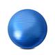 Exercise Ball Exercise Ball Thickened Explosion-proof Birthing Ball Yoga Ball Chair Balance Ball Yoga Pilates for Beginners Physiotherapy Ball Weight Loss Shaping Ball With Quick Pump Yoga Ball ( Colo