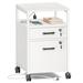 Rebrilliant Langridge 2 Drawer Storage Drawer w/ Locking Wheels in White | 1 W in | Wayfair C15E25D5EA814978BE7D753215E3DDAA