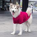 Zhongda – pull en laine pour chien, automne et hiver, chaud, border collie samofadou, vêtements pour animaux de compagnie, fournitures, cheveux dorés