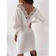 Robe dentelle Robe casual Robe Fourreau Femme Mini robe Dentelle contrastée Dentelle du quotidien Rendez-vous Sortie Mode basique Col Ras du Cou manche longue 2023 Standard Noir Blanche S M L XL XXL