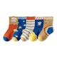 Chaussettes Garçon Enfants 5 paires Hiver Automne Doux Multicouleur Bloc de couleur Rayé Usage quotidien 3-12 ans / Coton