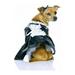 Pet French Maid Costume Small