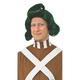 Costume de Rubie Co. Willy Wonka pour hommes la perruque de la chocolaterie oompa loompa