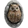 AMERTEER Cartoon Fake Owl Tree Decoration Scarecrow Sculpture owl Outdoor Garden Pendant Suitable for Branches Eaves Decoration Garden Protectors Outdoor Garden Yard Decoy Bird