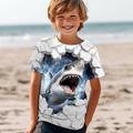 Boys 3D Shark Tee Shirt Short Sleeve 3D Print Summer Active Sports Fashion Polyester Kids 3-12 Years Crew Neck Outdoor Casual Daily Regular Fit