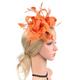 Fascinators Net Halloween Kentucky Derby Classic Wedding With Flower Headpiece Headwear