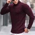 Men's Sweater Pullover Sweater Jumper Turtleneck Sweater Ribbed Cable Knit Cropped Knitted Solid Color Turtleneck Keep Warm Modern Contemporary Work Daily Wear Clothing Apparel Fall Winter Wine