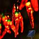 5/6.5/7m Solar Garden Chili Lights Outdoor Red Chili Pepper String Lights-Waterproof LED Kitchen Christmas Decorative Lights for Garden Lawn Patio Yard Home Party Porch Decor 5M 20LED/6.5M 30LED/7M 50LED