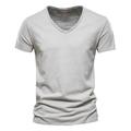 Men's Tee T shirt Tee Shirt Graphic Patterned Solid Colored V Neck Daily Short Sleeve Slim Tops Basic Streetwear White Black Light gray / Summer / Spring / Summer