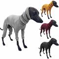 Winter Dog Coat Jacket Tight Dog Hoodie Dog Jumper Sweater for Greyhound Whippet,Dog Clothes Greyhound Turtleneck Sweatershirt Jumper,Warm T-Shirt Pet Clothes (Black,5XL)