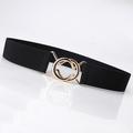 Women's Belt Alloy White Black Gray Pink Camel Wide Belt Outdoor Dailywear Daily Holiday Pure Color / Spring / Summer / Fall / Winter / Coffee