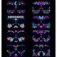 8 Sheets Glow In The Dark Tattoos for Adults, Blacklight UV Neon Glow Temporary Tattoos Makeup Butterfly Tattoos Stickers for Halloween Glow In The Dark Party Supplies