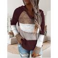 Women's Pullover Sweater Jumper Hooded Crochet Knit Thin Fall Winter Tunic Work Daily Holiday Casual Soft Long Sleeve Color Block Black Wine Blue S M L