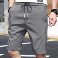 Men's Athletic Shorts Active Shorts Casual Shorts Pocket Drawstring Elastic Waist Plain Comfort Quick Dry Outdoor Daily Going out Fashion Streetwear Black Light Green