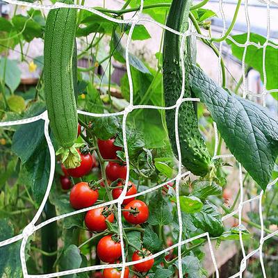 Trellis Netting Heavy-Duty Garden Plant Trellis Netting for Climbing Plants Outdoor Indoor Grow Net for Beans Tomatoes Peas Pumpkin Flowers