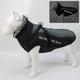 dog coat pet clothing reflective warm dog cotton-padded coat fur collar dog hardshell coat Big dog clothing pet clothing