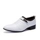 Men's Oxfords Dress Shoes Monk Shoes Business Classic Daily Office Career Party Evening PU Wear Proof Loafer Black White Fall Winter