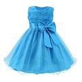 Toddler Girls' Dress Flower Sleeveless Wedding Party Layered Bow Princess Sweet Tulle Dress Flower Girl's Dress Summer Spring Fall 2-12 Years White Pink Navy Blue