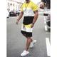 Men's T-shirt Suits Tracksuit Tennis Shirt Shorts and T Shirt Set Color Block Crew Neck Daily Wear Vacation Short Sleeves 2 Piece Clothing Apparel Gymnatics Casual