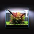 3 Color LED Aquarium Lighting Fresh Water Adjustable Clip-on Fish LED Lamp for Tanks Aqua Plants Grow Light