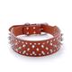 Dog Pets Collar Rivet Decoration Durable Outdoor Running Hiking Walking Other Solid Colored Classic PU Leather Small Dog Medium Dog Large Dog White Black Green Purple Rosy Pink 1pc / # / #
