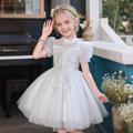 Kids Girls' Party Dress Solid Color Short Sleeve Long Sleeve Formal Performance Wedding Sequins Ruched Princess Beautiful Polyester Knee-length Party Dress Flower Girl's Dress Spring Fall Winter 3-12