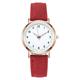 Women Watch Fashion Casual Leather Belt Watches Luminous Simple Ladies' Small Dial Quartz Clock Dress Wristwatches Reloj Mujer