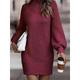 Women's Sweater Dress Jumper Dress Casual Dress Mini Dress Knitwear Active Fashion Daily Date Vacation Going out Turtleneck Long Sleeve Ribbed 2023 Loose Fit Black White Wine S M L XL