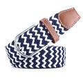 Men's Canvas Belt Braided Belts Black White Alloy Plain Daily Wear Going out Weekend