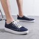 Men's Women's Sneakers Canvas Shoes Plus Size Comfort Shoes Office Daily Solid Color Summer Tassel Flat Heel Round Toe Fashion Sporty Casual Walking Canvas Lace-up Black Yellow Blue