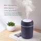 300ml H2O Air Humidifier Portable Mini USB Aroma Diffuser With Cool Mist For Bedroom Home Car Plants Purifier Humificador