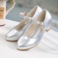 Girls' Heels Princess Shoes PU Water Resistant Breathability Princess Shoes Big Kids(7years ) Little Kids(4-7ys) Toddler(2-4ys) Daily Silver Black White Fall Spring