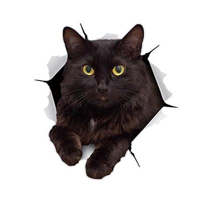 Winston Bear 3D Cat Stickers - 2 Pack - Black Cat Wall Decals - Cat Wall Stickers for Bedroom - Fridge - Toilet - Car - Retail Packaged